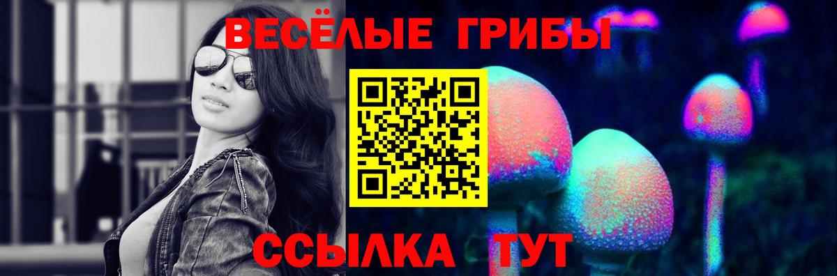Галлюциногенные грибы прущие грибы  Вход с VPN  Псилоцибиновые грибы ЛСД  Нижнеудинск 